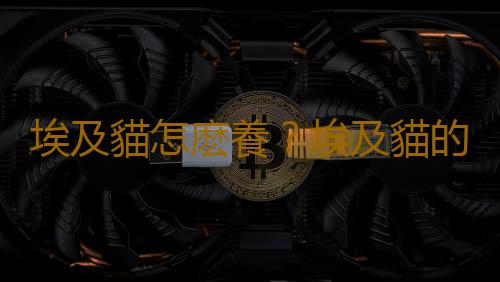 埃及貓怎麽養？埃及貓的生活習性