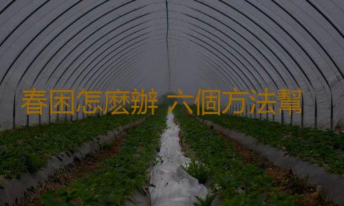 春困怎麽辦 六個方法幫你消除春困又提神
