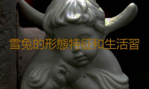 雪兔的形態特征和生活習性